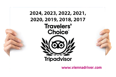 Prețul serviciului de taxi pentru aeroportul din Viena 25 euro